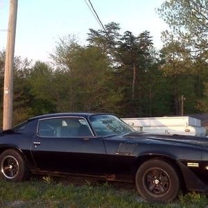 Meet your Posher, Terry